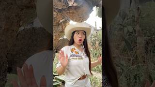 AMOR A LO RANCHERO ❤️‍🔥 - Yolanda del Río #musica #parati #viralvideo