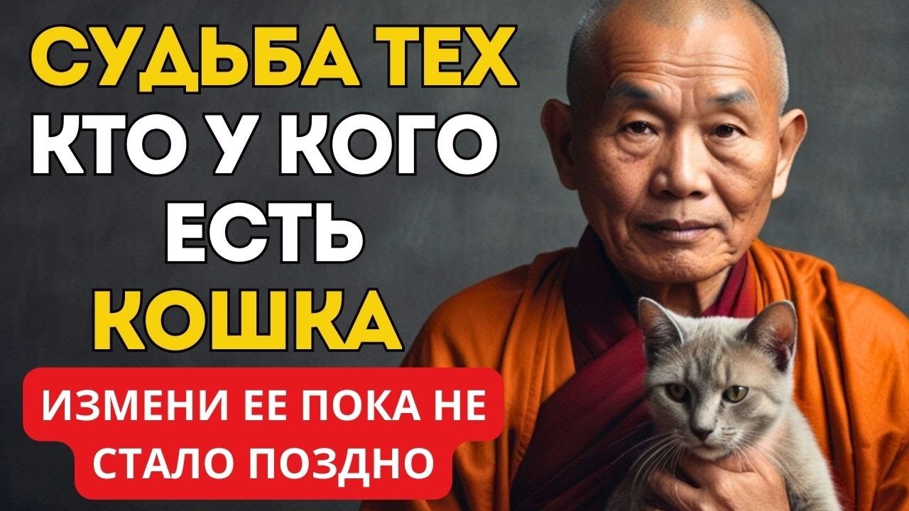 Жизнь с Кошкой Изменит Вашу Судьбу | Буддийская Мудрость Все Объясняет