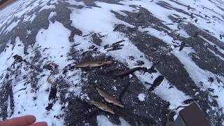 Рыбалка на озере долгое спб