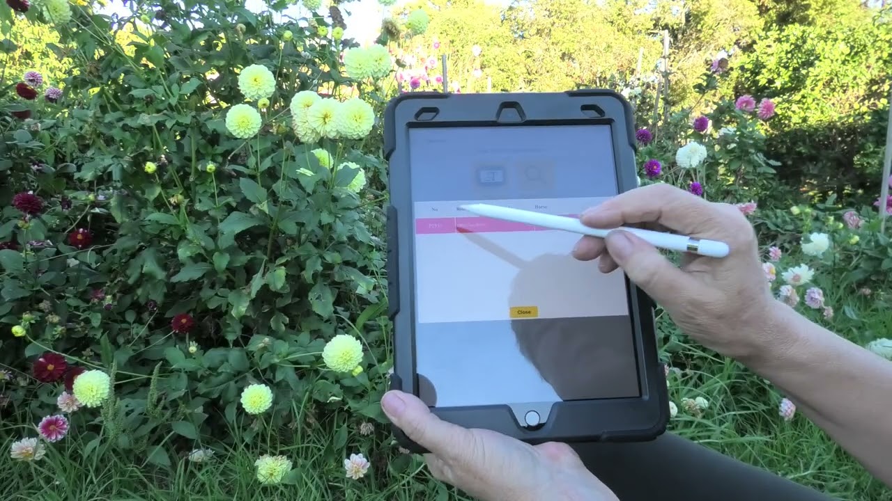 How to use the Nominate Scoring app on a tablet - April 2026