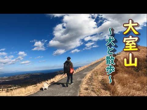 YouTube動画を再生