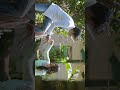 Akkam Pakkam Yaarum Illa Song What S Up Status Sivakarthikeyan Love What S Up Status