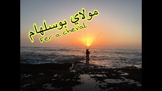 preview picture of video 'Fer a cheval moulay bousselham morocco , مولاي بوسلهام'