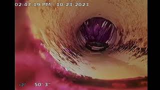 Labcorp Camera of sewer line Sheldon Road Tampa2023 10 23 14 44 50