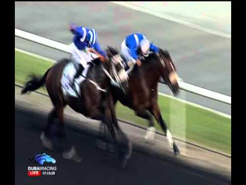 Godolphin Mile 2013 - SOFT FALLING RAIN