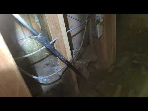 Flooded Basement Causes Drain Flies to Infest Home in Metuchen, NJ