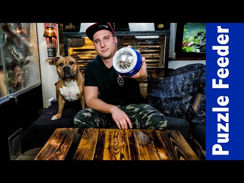 Puzzle Feeder Nerf Dog Spielzeug für Hunde Indoor (Deutsch)