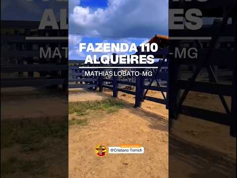 FAZENDA 110 ALQUEIRES MATHIAS LOBATO-MG R$ 16 MILHÕES #agro #fazenda #imobiliaria #minasgerais