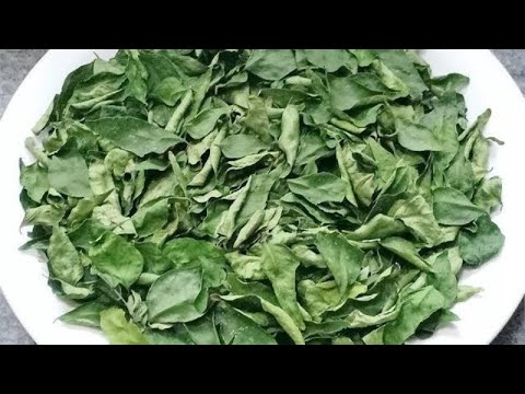 How to Dry and Store Kadi Patta / Preserve Curry Leaves for Long Time