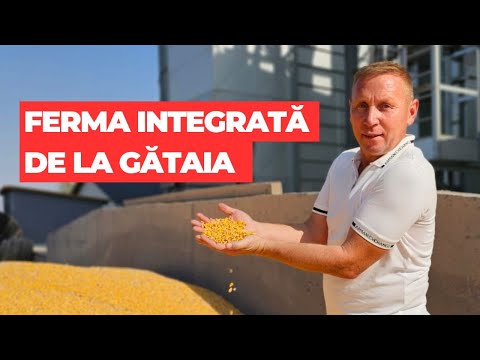 Integrated farm from Gătaia: cereals, dairy cows, biogas