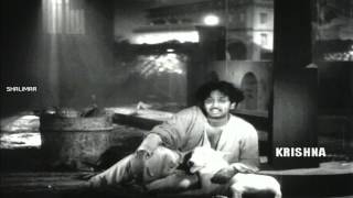 Jagame Maya Video Song || ANR Devadasu Movie ||  Akkineni Nageswara Rao, Savitri