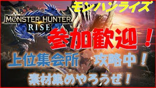 【MHRise】上位集会所攻略！素材集めもするよ！　参加歓迎！（メルヴィメヒーシャ）