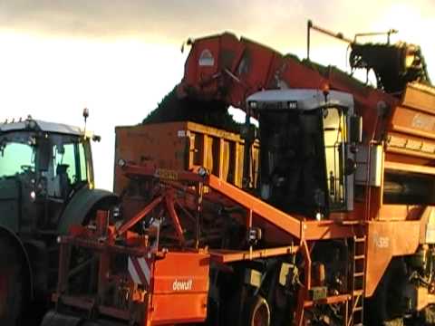 dewulf 5060 laarakker schorseneren