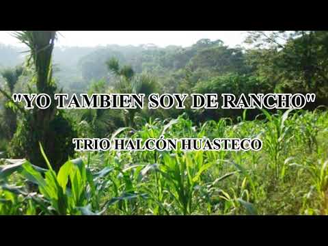 Yo tambíen soy de rancho - Trio Halcón Huasteco