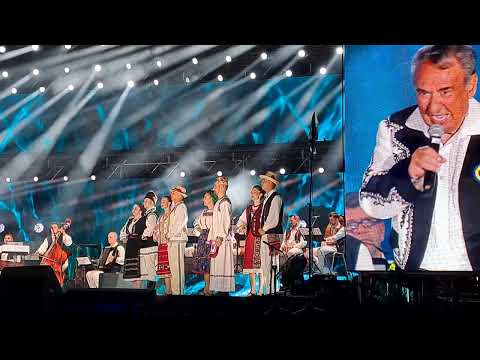 Gheorghe Rosoga - Mamaia 2025