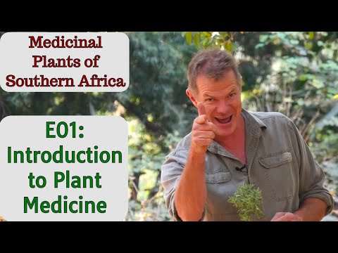 Medicinal Plants of Southern Africa E01: Introduction to Plant Medicine