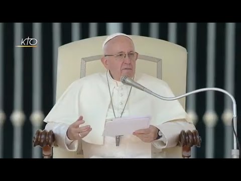 Le Pape revient sur son voyage en Irlande : Audience générale du 29 août 2018