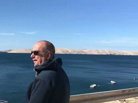 Insel Pag zu den alten Olivenbäumen