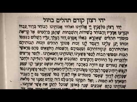 Yehi Ratzon said before reading Tehillim on weekdays יהי רצון לפני אמירת תהלים