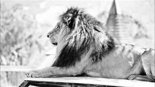 New Reggae Mixtape Radio Show   The Inity Sound System032517