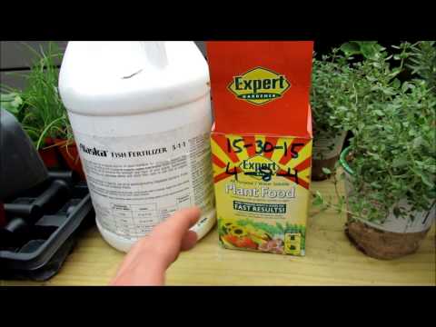 Understanding & Using Water Soluble Fertilizer