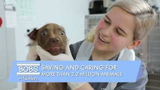 Lowes Foods BOBS from Skechers: $12 Million Donated