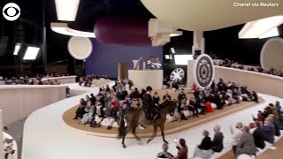 Download lagu WEB EXTRA:  Horse Walks Runway at Chanel Fashion Show mp3 Download lagu WEB EXTRA:  Horse Walks Runway at Chanel Fashion Show mp3