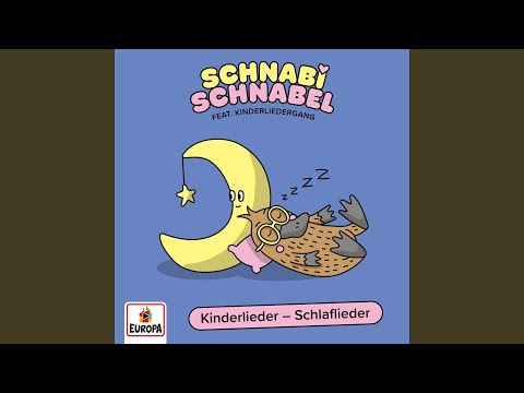 Wisst ihr was die Bienen träumen