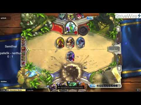 StriveWire WCS Qualifer #1 Semi-Final: pelle5k vs nerthus