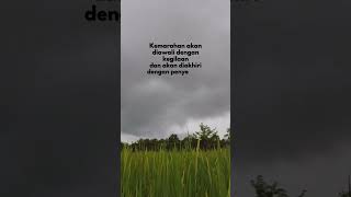 Download lagu Quotes mengendalikan emosi #quotes #shorts #katabijak  #statuswa #motivasi #inspirasi #storywa mp3