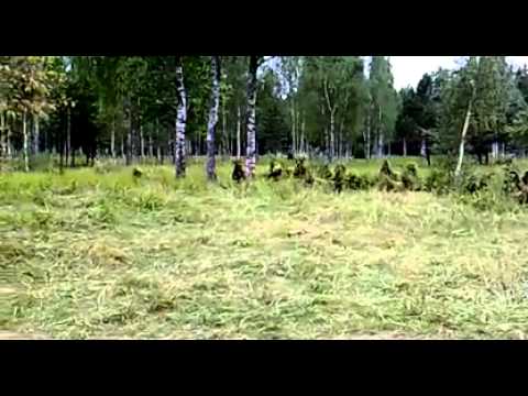 Tarnung ist alles   Tarnung, Video, Militär, Krieg, Wald