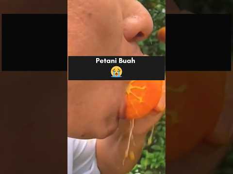 Petani Buah 😭 #gamingindonesia #gamerindonesia #funny #fyp