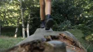 Daisy Dares You on Sugarscape