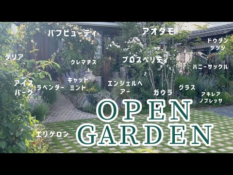 四角い家の観賞用の草の木の前にある庭のデザインのアイデア