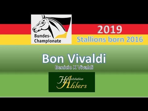 Bon Vivaldi @ Bundeschampionate 2019