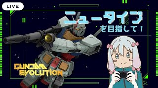 [ガンエボ]ランク