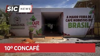 Contest will choose the best coffee in Rondônia