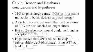 3 09 carbonfixation Calvinexpt