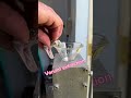 Mojave rattlesnake venom extraction! #venomous #snake #rattlesnake #reptile