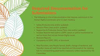 Human Rights Committee - Writing, Submitting, and Presenting Reports