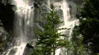 고양이 여행 리포트 나나 입덕 영상