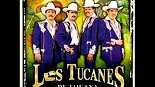 Los Tucanes De Tijuana - Mi Venganza