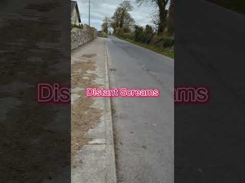 Is this what a SkinWalker sounds like? #shorts #scary