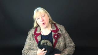 #AmazingGrace Hedgehog Challenge A German town named Iglau  (P1)