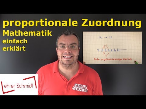 Proportionale Zuordnung | Mathematik | Lehrerschmidt - einfach erklärt!