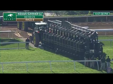 Breeders' Cup Juvenile Turf Sprint (GII) - Race Replays