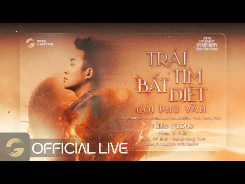 TRÁI TIM BẤT DIỆT CÕI PHÙ VÂN - TÙNG DƯƠNG | GITA Centre | Live at "Symphony Behind the Clouds 2025"