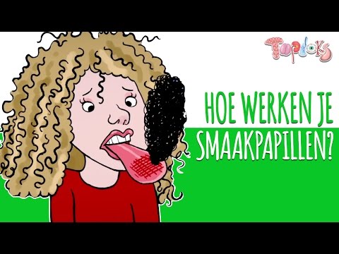 OVER JE SMAAKPAPILLEN - ANIMATIE