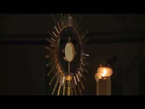 Daruj nam mir - Dona la pace | Mladifest Međugorje 2022 | Festival de Jóvenes