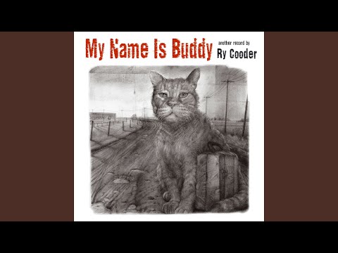 Video thumbnail for Red Cat